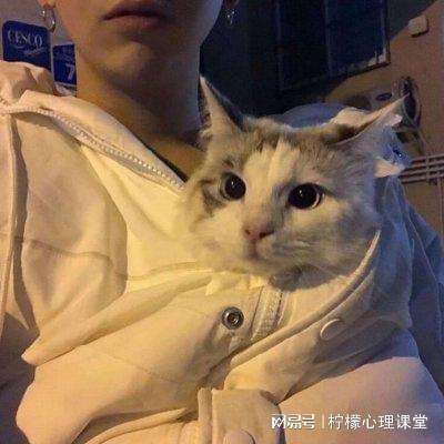 海洋生存岛僵尸版本最新版下载